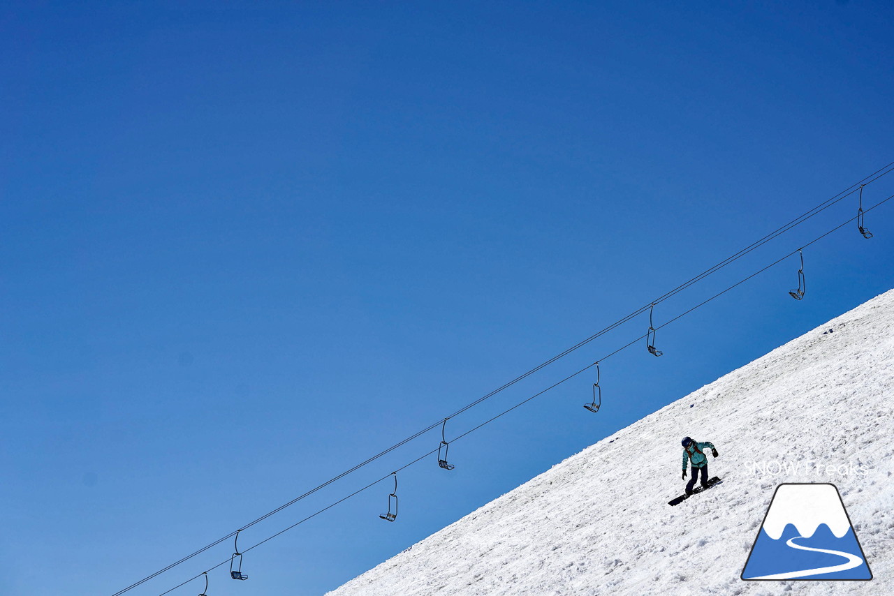 ニセコグラン・ヒラフ DYNASTAR SKI TEST RIDE DAYS Photo Session!!最高の天気に恵まれたニセコに、最高の仲間たちが集まりました☆